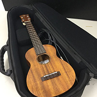 T's Ukuleles ティーズ ウクレレ コンサートウクレレ CS-200